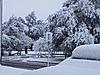 Click image for larger version. 

Name:	snow-texas1.jpg 
Views:	250 
Size:	302.8 KB 
ID:	15208